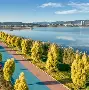 -包含云南珍宝山与海南环岛争夺平局，旧雨新知的词条