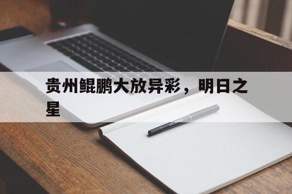 pg电子模拟器-贵州鲲鹏大放异彩，明日之星的简单介绍