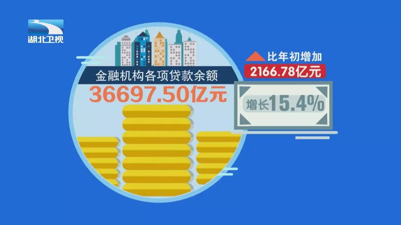 -山东队战胜湖北队，继续领跑