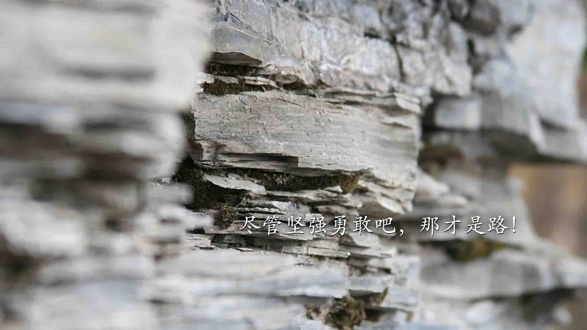 世界杯首秀封神战，利拉德演绎不朽的教科书之夜