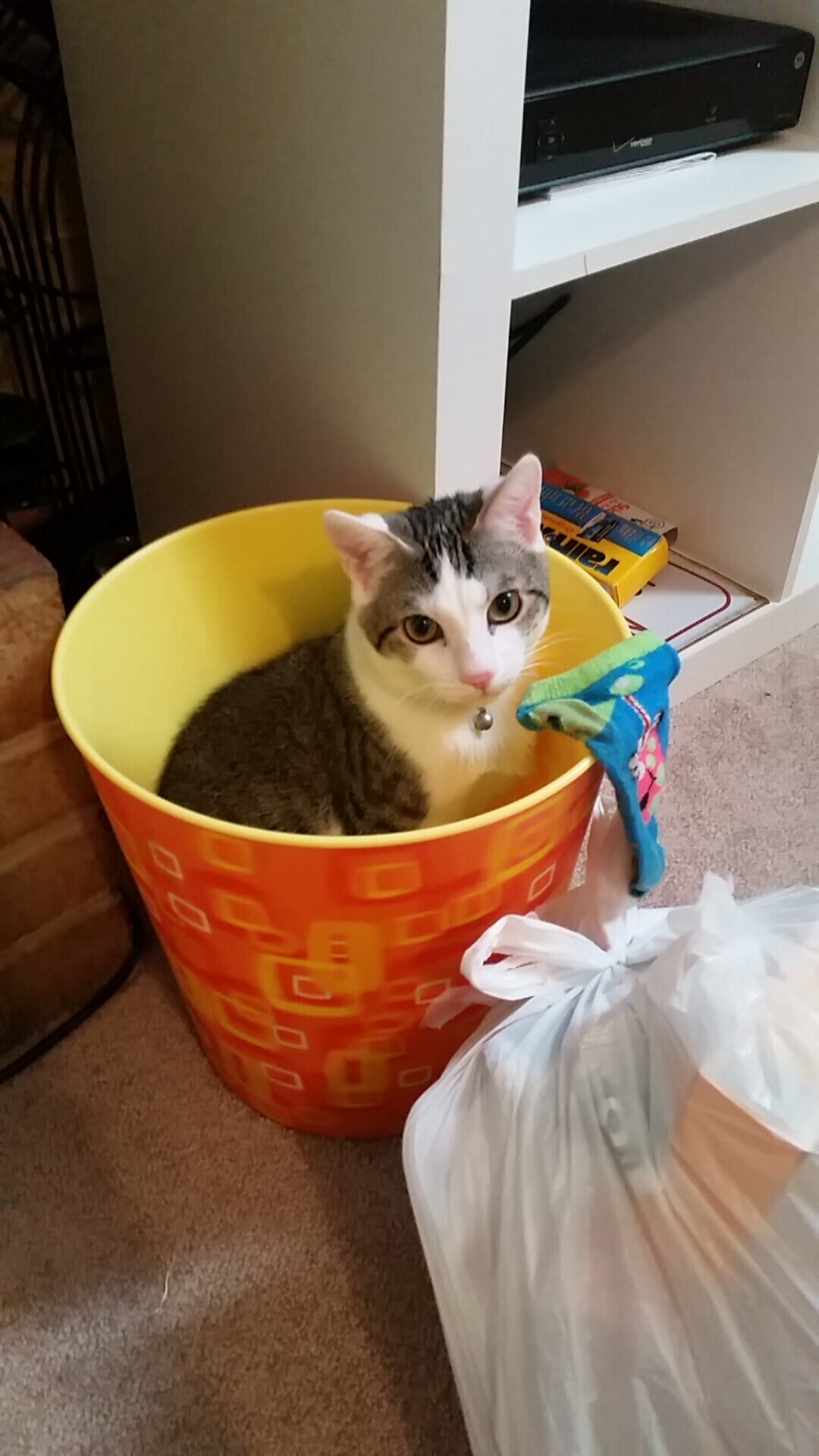 平行时空的体育狂想曲，当篮球东决的硝烟，遇见足球场上的一波带走