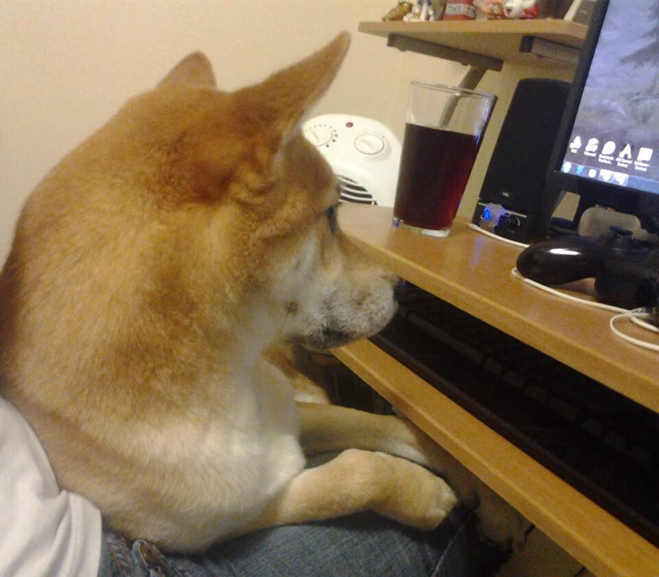 pg电子娱乐-西甲国家德比之夜，霍勒迪硬仗之王