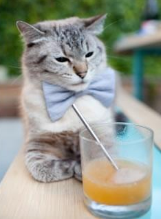 -雄鹿狂胜灰熊，季后赛抢七焦点战的全景纪实