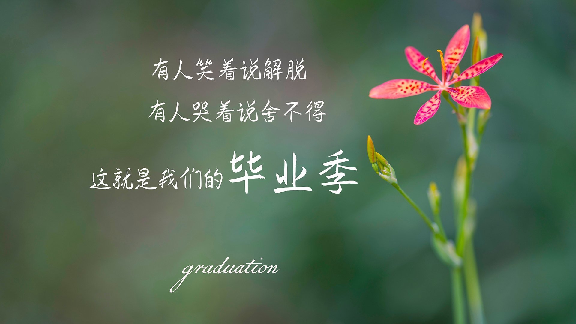 关键先生!恩比德制胜攻防助步行者力克76人,晋级冠军战