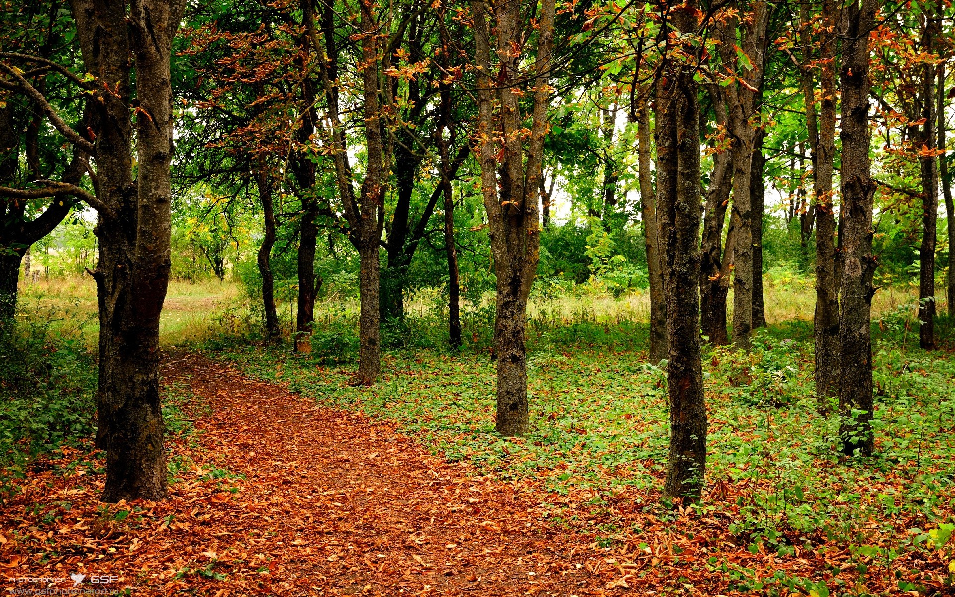 塞内加尔拿下瑞典，33岁德布劳内一战封神，诠释何为关键先生