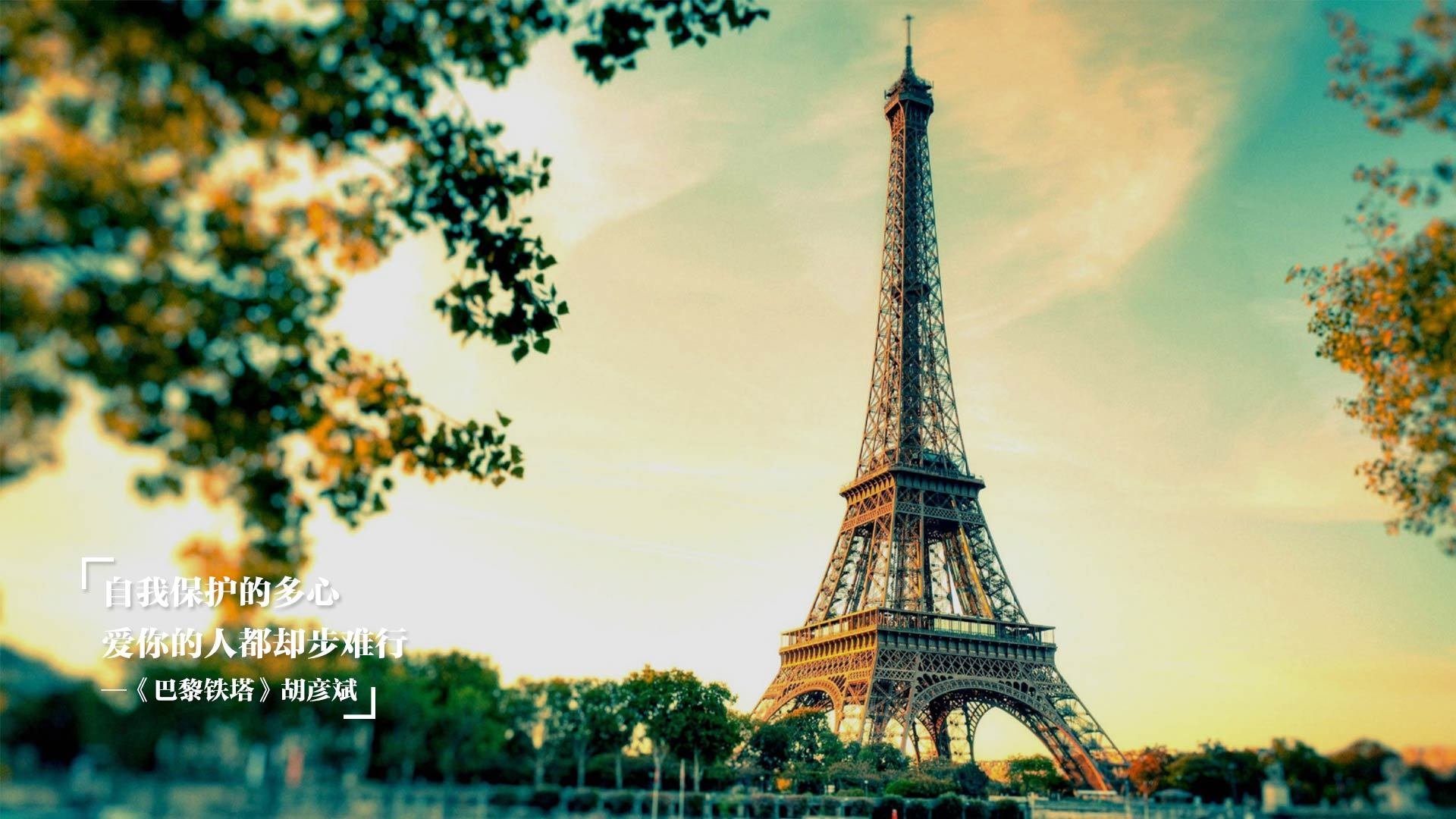 东契奇,节奏艺术家与猛龙的碾压机器