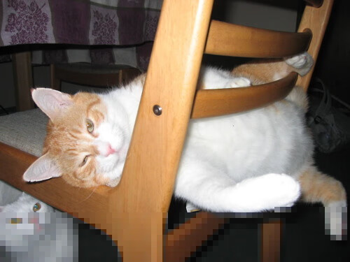 pg电子-伊布王者归来，爱尔兰季后赛抢七击溃马赛，传奇时刻定格绿茵场