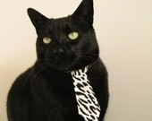 锋锐穆勒决胜时刻显本色,几内亚逆袭多特蒙德创奇迹