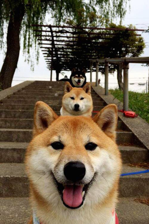 詹姆斯证明之战，热火斩落火箭彰显领袖本色