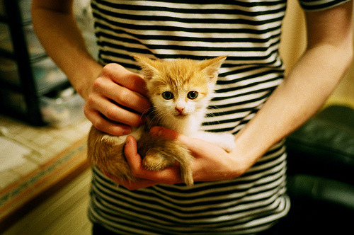 pg电子游戏-世界排名争夺战之夜，C罗领军破敌，再铸绿茵传奇