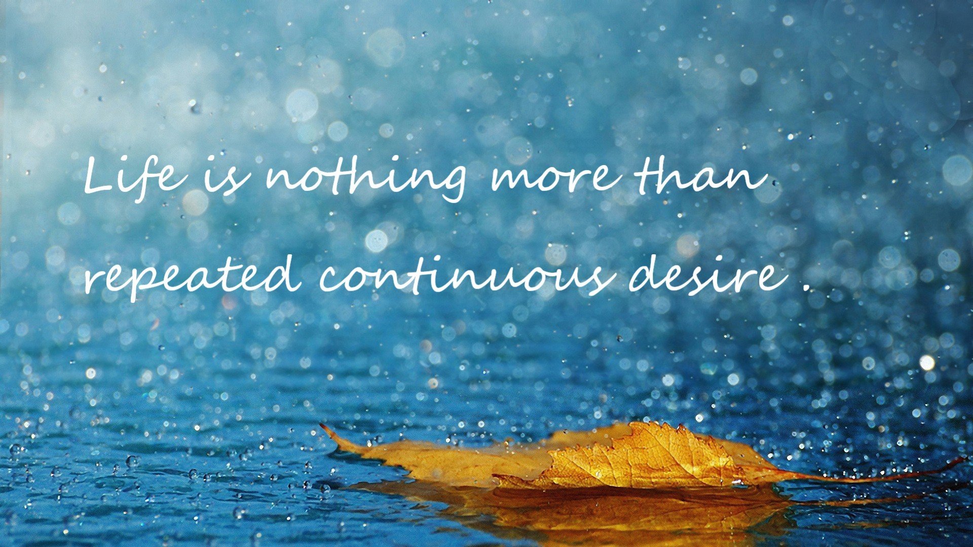 pg电子模拟器-掌控之夜，东契奇以指挥家之姿，谱写年度焦点战的命运交响