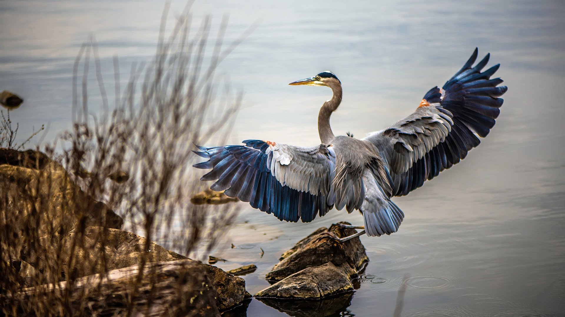 野兽军团与独角兽，从灰熊的团队绞杀到文班亚马的个人接管