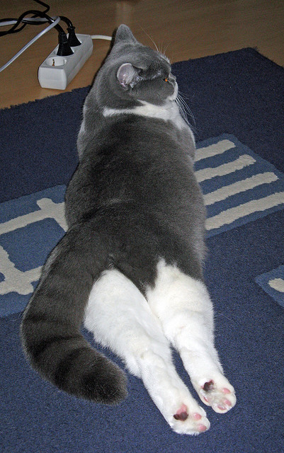 pg电子娱乐-塔图姆加时封神，奇才主场击落独行侠