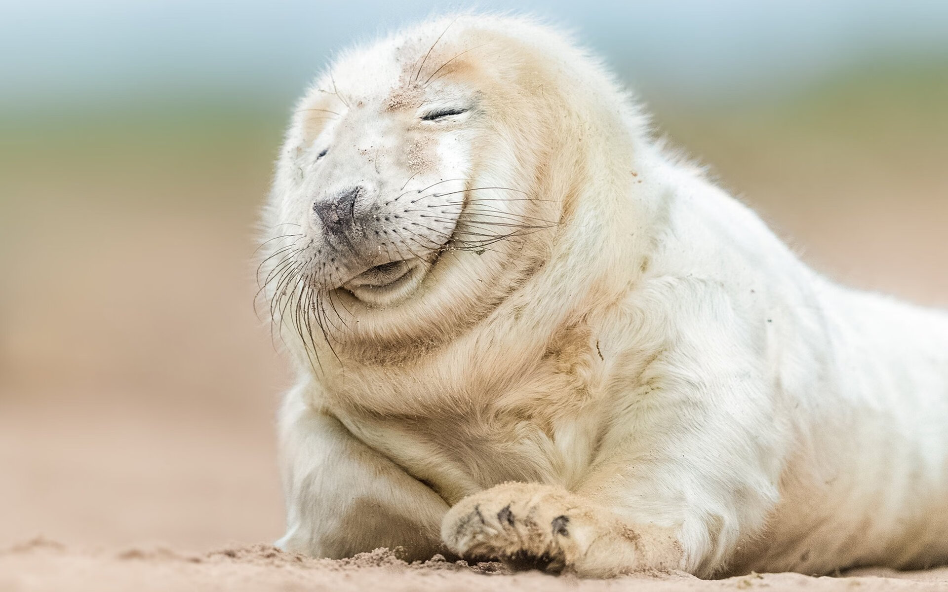 希腊问鼎，伊萨克统治街道，当纪律与天赋奏响体育双重奏