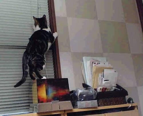 pg电子模拟器试玩在线-粤军强势封王，乔治一剑封喉—赛场上的终局艺术