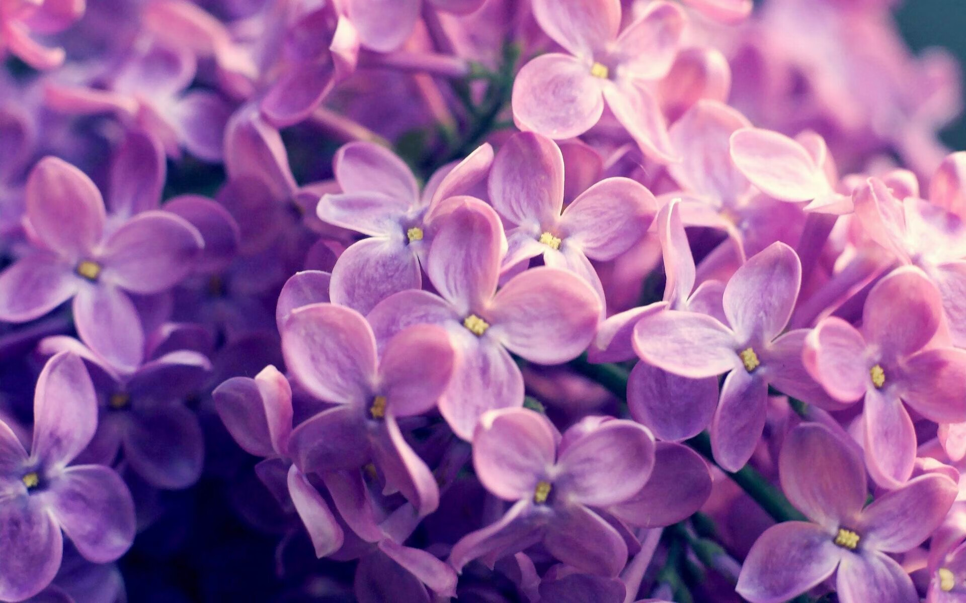 乌尤尼盐湖上的巨人，当C罗在德甲争冠战上演玻利维亚式压制