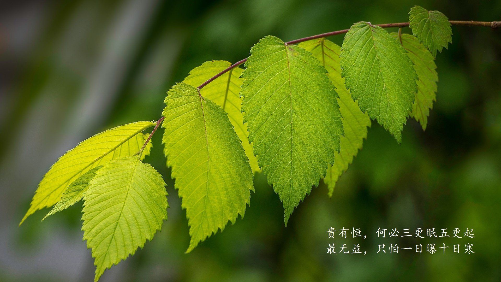 死亡之组D上演冰火两重天,法国血洗乌拉圭,哈基米率摩洛哥点亮进攻狂潮