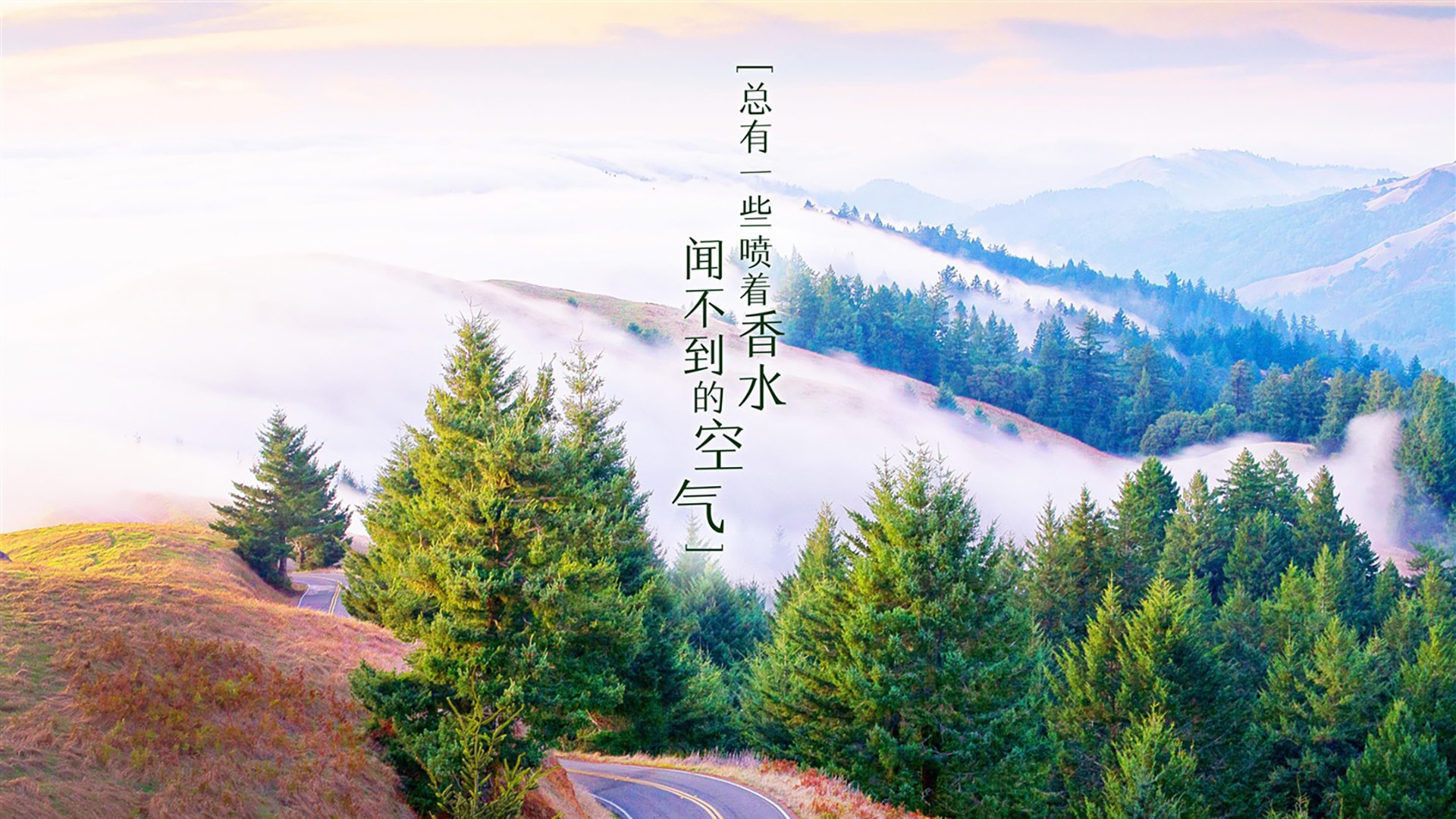 pg电子试玩网站-铁壁防守与闪电突袭，2026世界杯E组强强对话，澳大利亚碾压比利时，哈基米闪耀全场