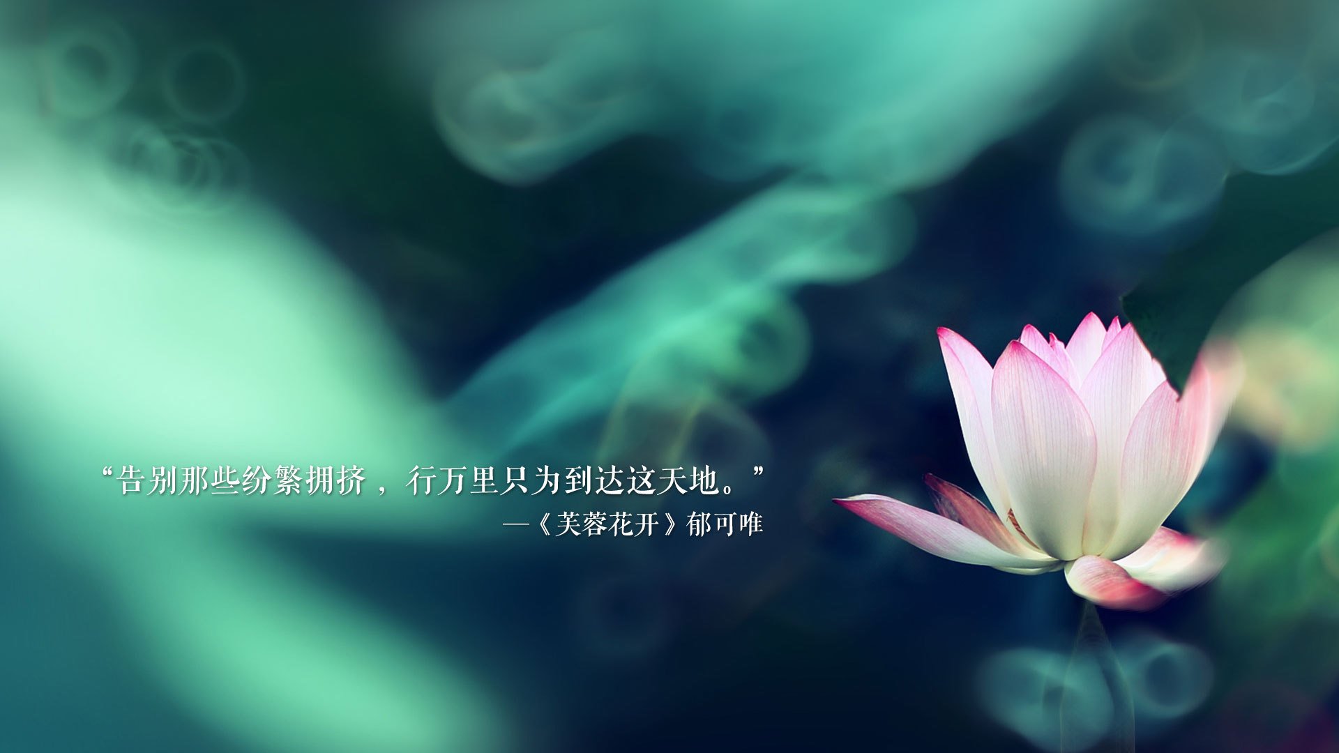 魔幻之夜,2026世界杯D组焦点战,韩国逆转摩洛哥,维尼修斯主导比赛